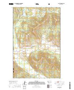 Lynch Lake 2020 topographic map thumbnail