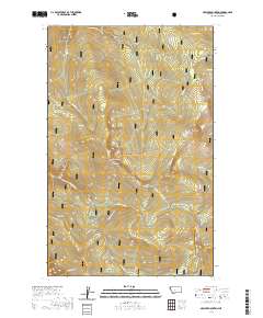 McGuire Mountain 2020 topographic map thumbnail