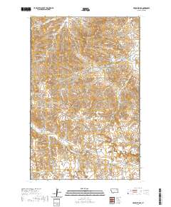 McRae Springs 2020 topographic map thumbnail