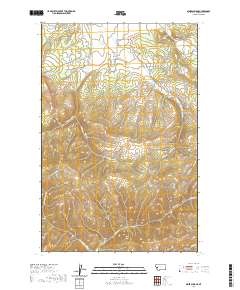 Mineral Ridge 2020 topographic map thumbnail
