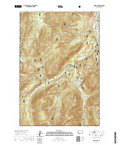 Moose Lake 2020 topographic map thumbnail