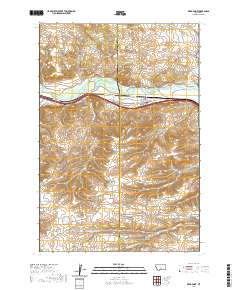 Reed Point 2020 topographic map thumbnail