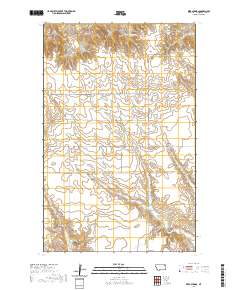 Reed Springs 2020 topographic map thumbnail