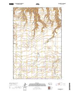 Rice Reservoir 2020 topographic map thumbnail