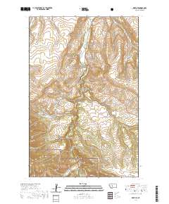 Riceville 2020 topographic map thumbnail