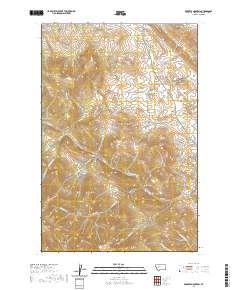 Roberts Mountain 2020 topographic map thumbnail
