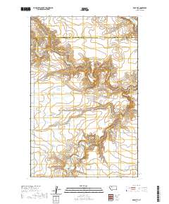 Rock City 2020 topographic map thumbnail