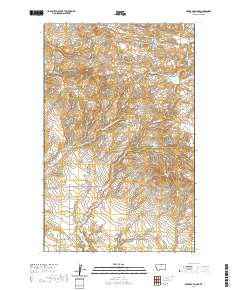 Silver Bow Lake 2020 topographic map thumbnail