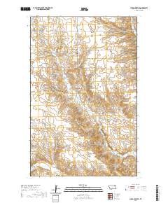 Spring Creek SW 2020 topographic map thumbnail