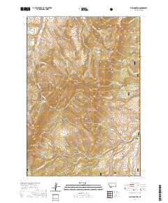Spur Mountain 2020 topographic map thumbnail