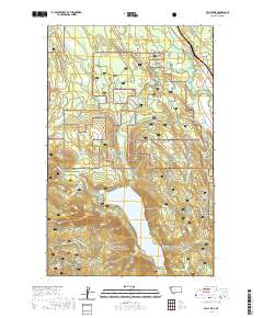 Tally Lake 2020 topographic map thumbnail