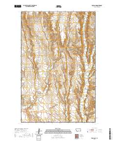 Tampico NE 2020 topographic map thumbnail