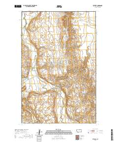 Tattnall 2020 topographic map thumbnail