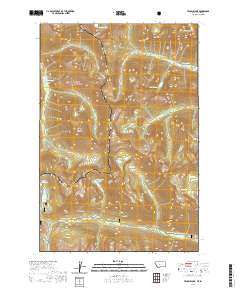 Tenmile Lake 2020 topographic map thumbnail