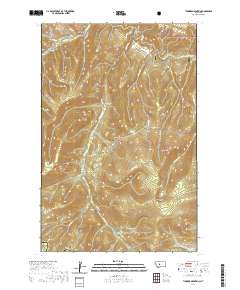 Thunder Mountain 2020 topographic map thumbnail