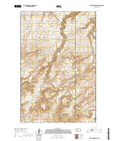 Timber Coulee South 2020 topographic map thumbnail
