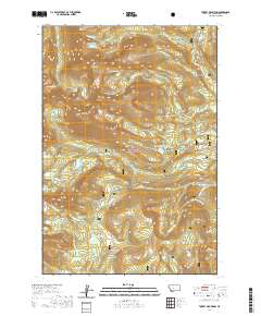 Torrey Mountain 2020 topographic map thumbnail
