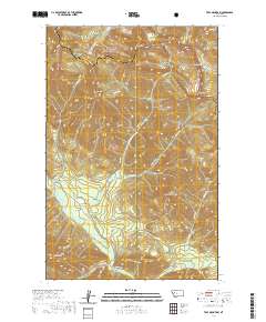 Trap Mountain 2020 topographic map thumbnail