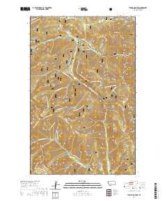 Turner Mountain 2020 topographic map thumbnail