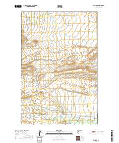 Twin Lakes 2020 topographic map thumbnail