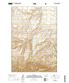 Twin Sisters 2020 topographic map thumbnail