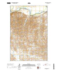 Twomile Creek 2020 topographic map thumbnail