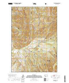 Virginia Peak 2020 topographic map thumbnail