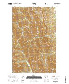 Walling Reef 2020 topographic map thumbnail
