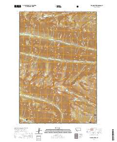Ward Mountain 2020 topographic map thumbnail