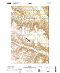 West Fork 2020 topographic map thumbnail