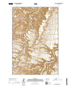 Wild Bill Flat West 2020 topographic map thumbnail