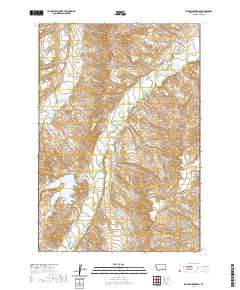Willow Creek Dam 2020 topographic map thumbnail