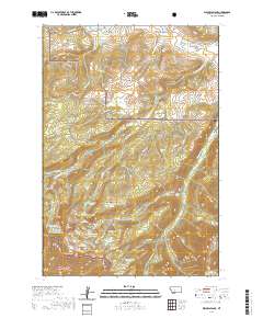 Willow Swamp 2020 topographic map thumbnail