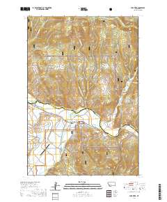 Wise River 2020 topographic map thumbnail