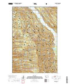 Yew Creek 2020 topographic map thumbnail