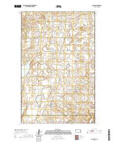Camp Lake 2020 topographic map thumbnail