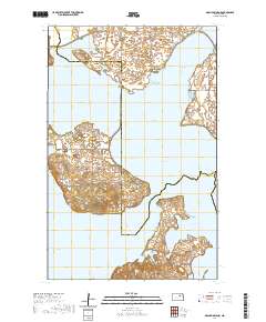 Grahams Island 2020 topographic map thumbnail