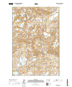 Lake Williams 2020 topographic map thumbnail