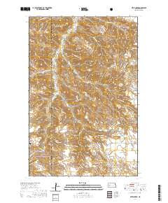 Petes Creek 2020 topographic map thumbnail