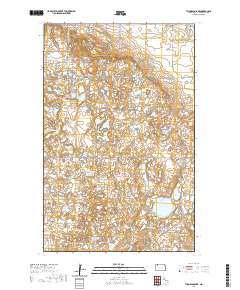 Thompson Lake 2020 topographic map thumbnail