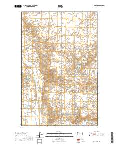 Twin Lakes 2020 topographic map thumbnail
