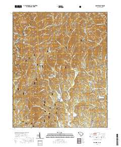 Tamassee 2020 topographic map thumbnail