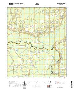 Maple Cane Swamp 2020 topographic map thumbnail
