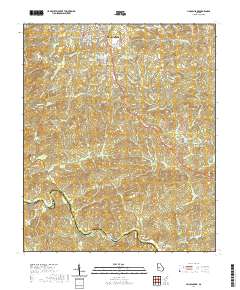 Lincoln Park 2020 topographic map thumbnail