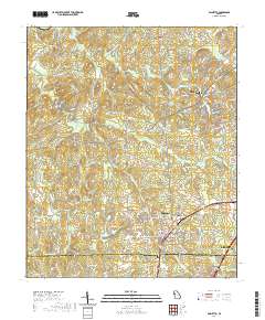 Palmetto 2020 topographic map thumbnail