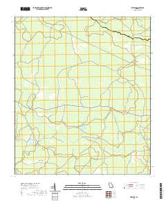 Pineland 2020 topographic map thumbnail