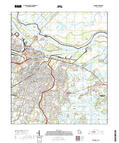 Savannah 2020 topographic map thumbnail