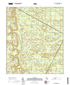 East of Ludowici 2020 topographic map thumbnail