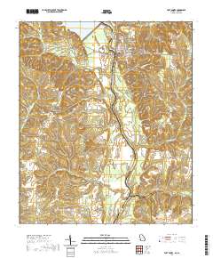 Fort Gaines 2020 topographic map thumbnail