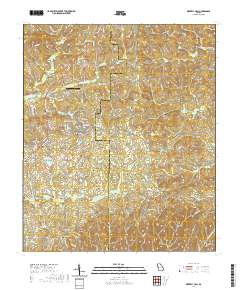 Waverly Hall 2020 topographic map thumbnail